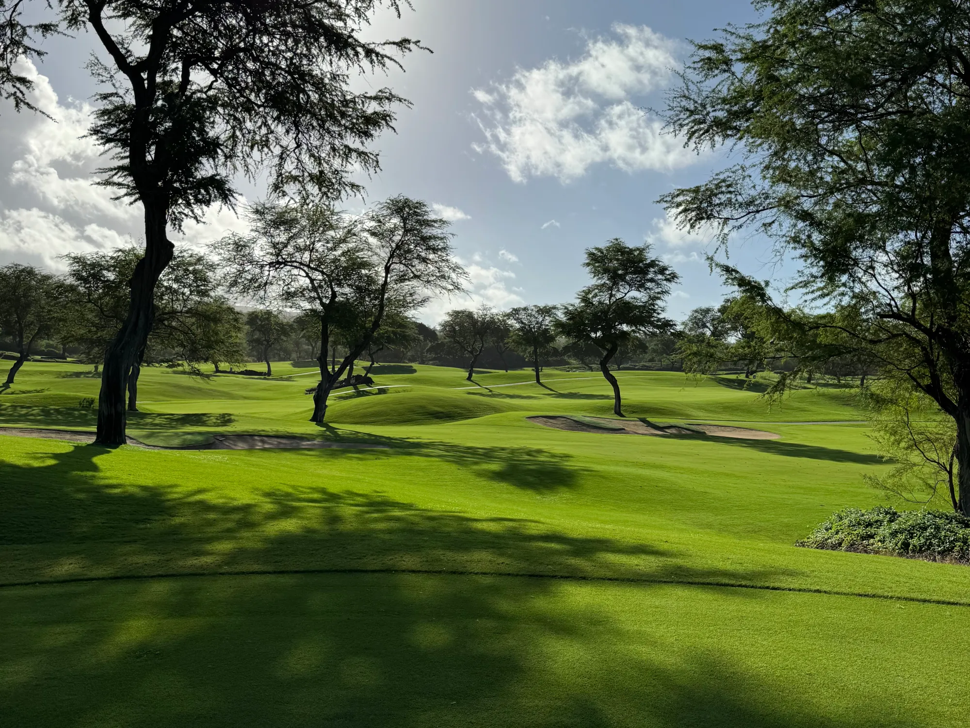 Wailea Golf Club - Gold Course