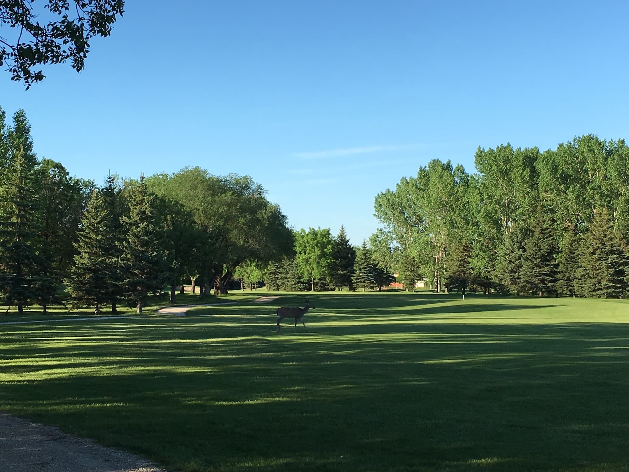 Featured image: Glendale Golf and Country Club