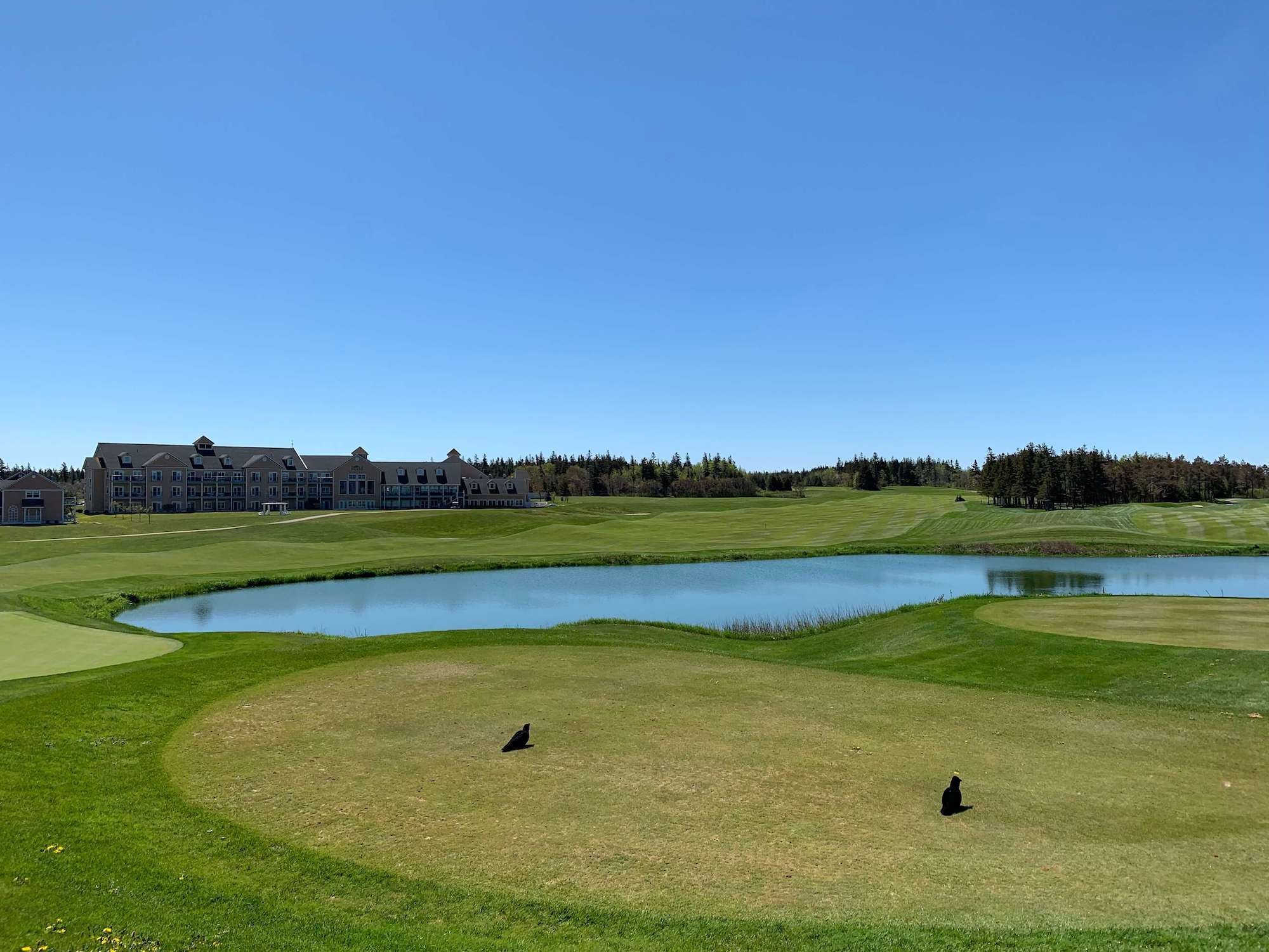 The Links at Crowbush Cove